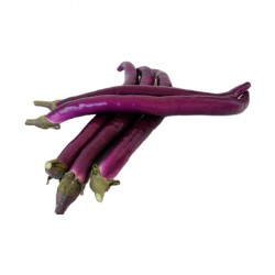 La berenjena violeta “Long Aubergine” es una variedad de berenjena con un color violeta intenso.